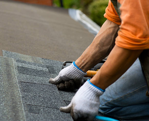 Best Metal Roofing Contractor  in Weedpatch, CA
